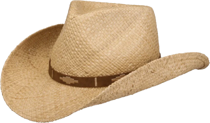 Stetson Western Raffia
