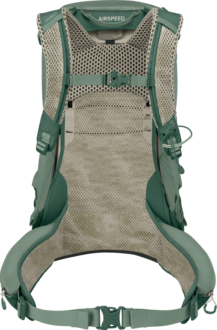 Osprey Men's Stratos 24 Pine Leaf Green Osprey