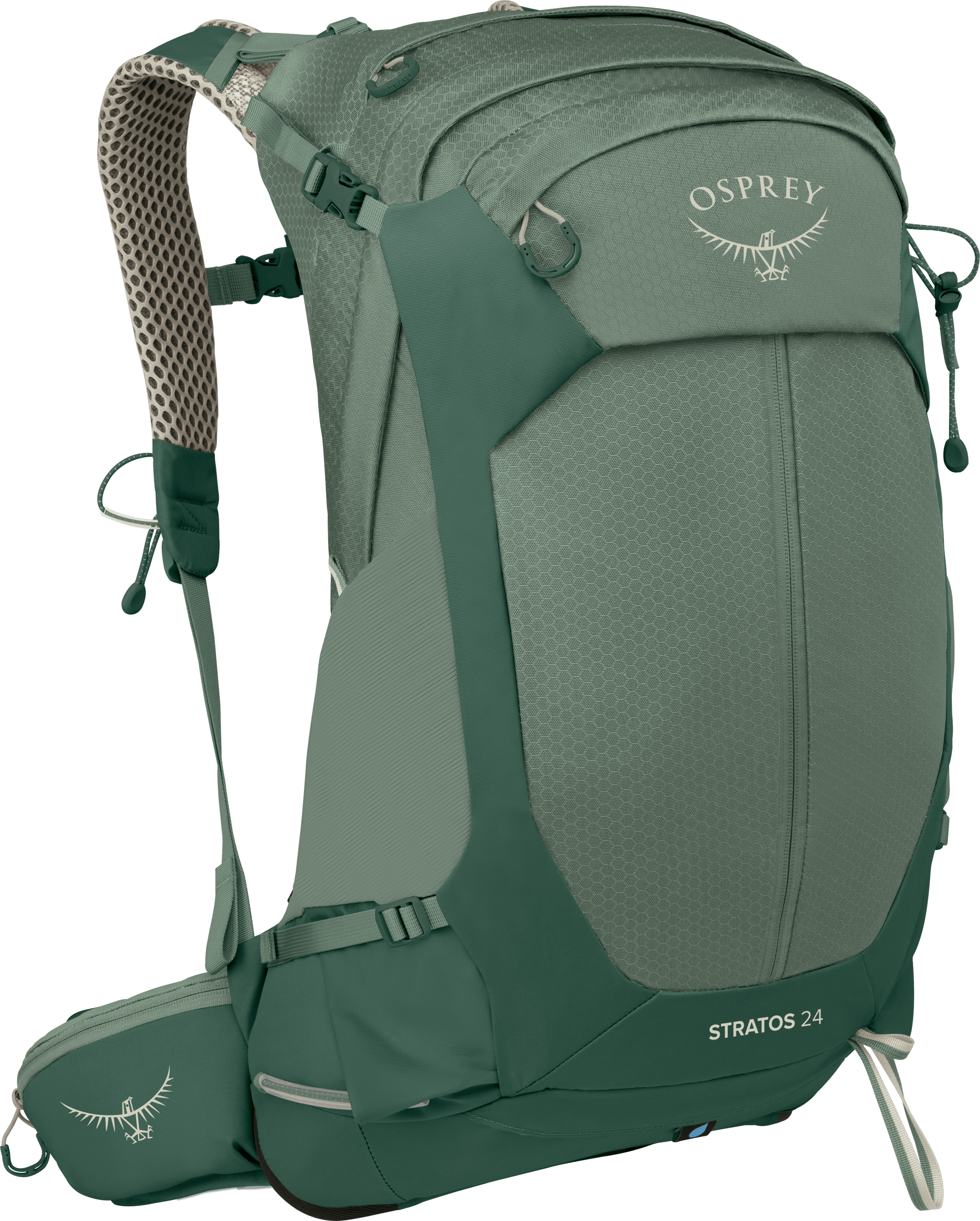 Osprey Men's Stratos 24 Pine Leaf