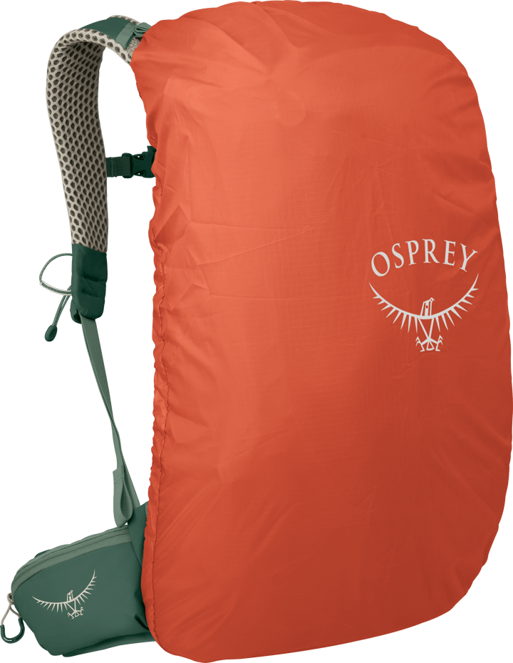 Osprey Men's Stratos 24 Pine Leaf Green Osprey