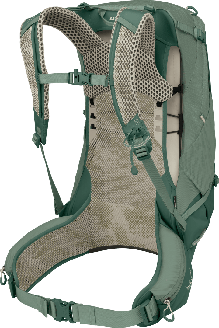 Osprey Men's Stratos 24 Pine Leaf Green Osprey