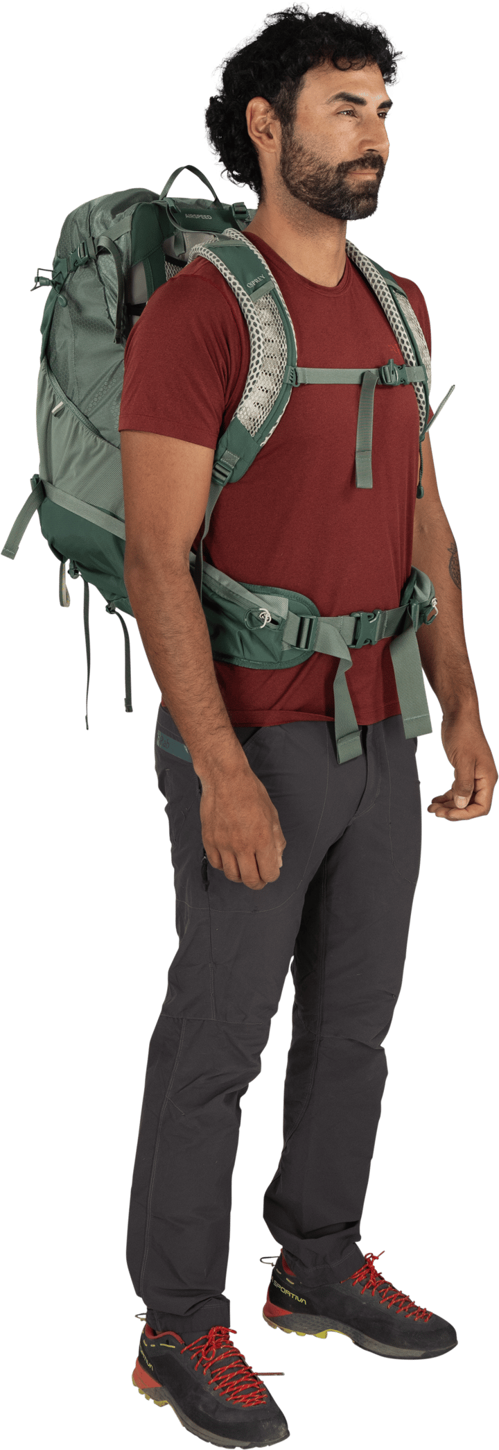 Osprey Men's Stratos 34 Pine Leaf Green Osprey