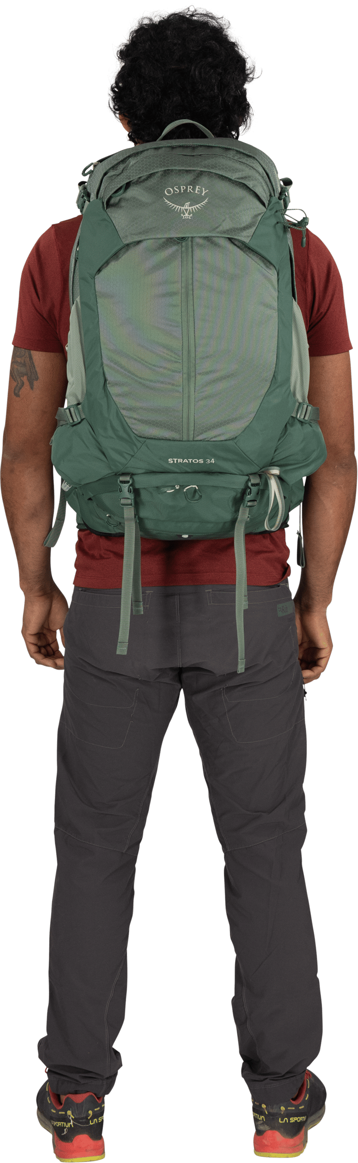 Osprey Men's Stratos 34 Pine Leaf Green Osprey