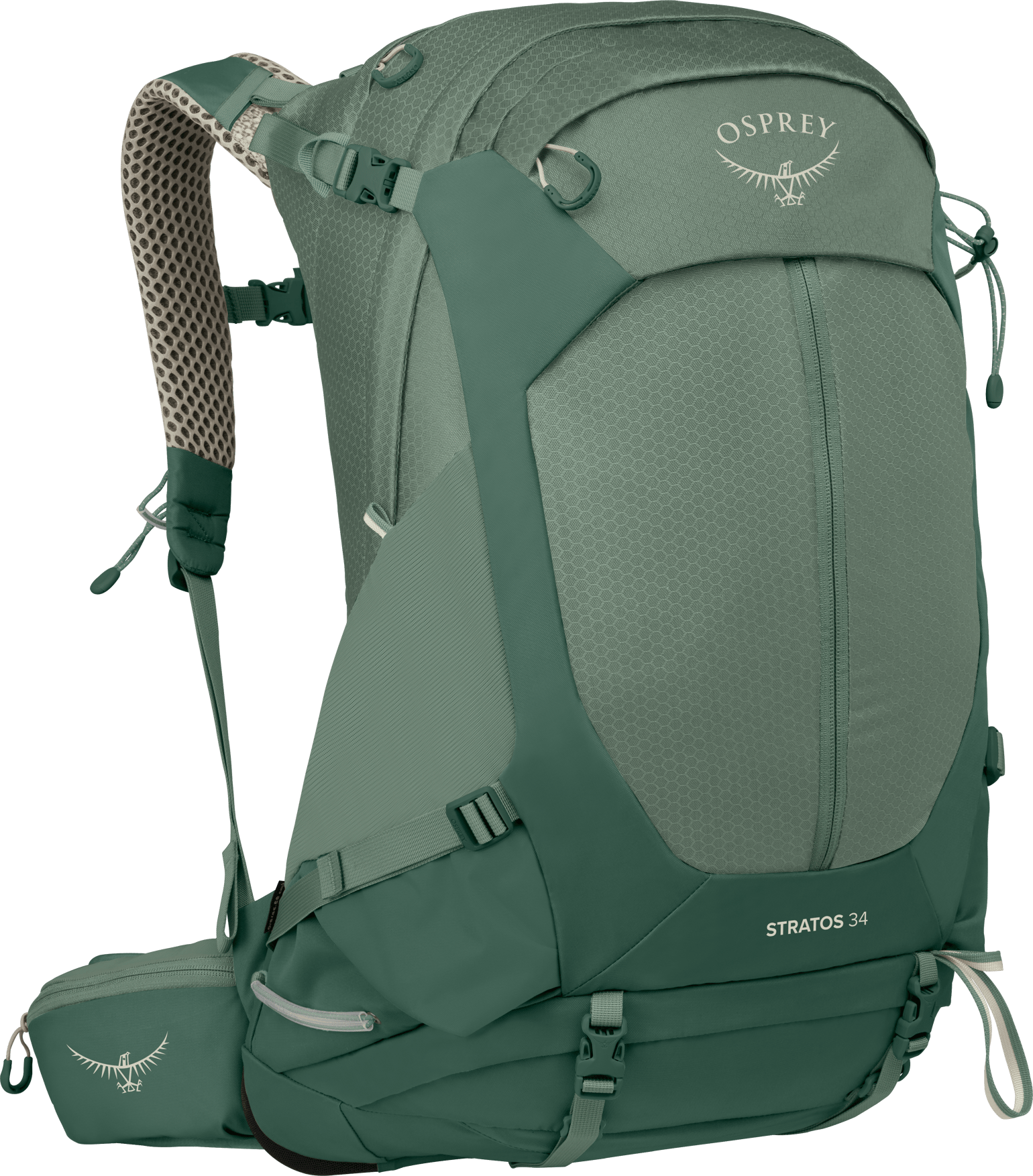 Osprey Men's Stratos 34 Pine Leaf Green