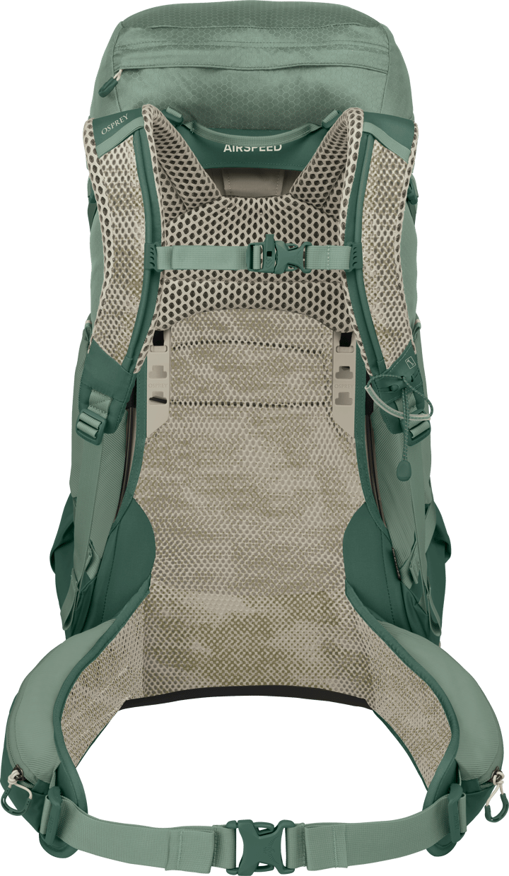 Osprey Men's Stratos 36 Pine Leaf Green Osprey