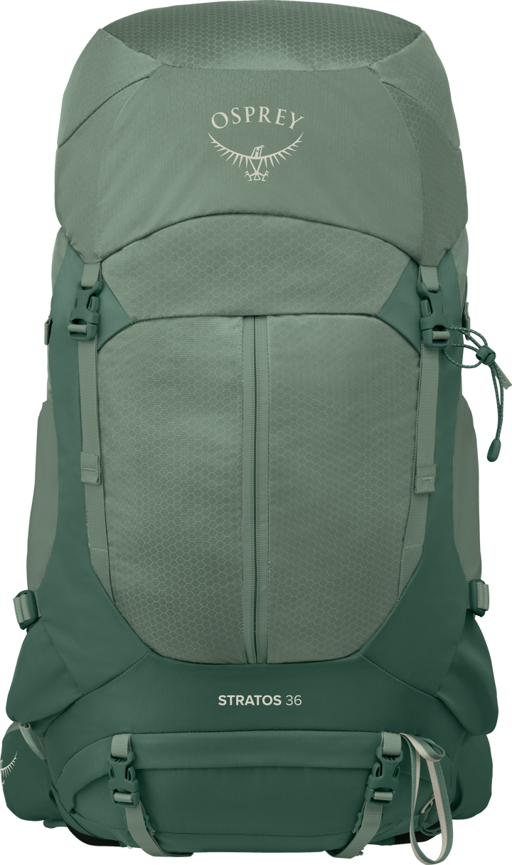 Osprey Men's Stratos 36 Pine Leaf Green Osprey