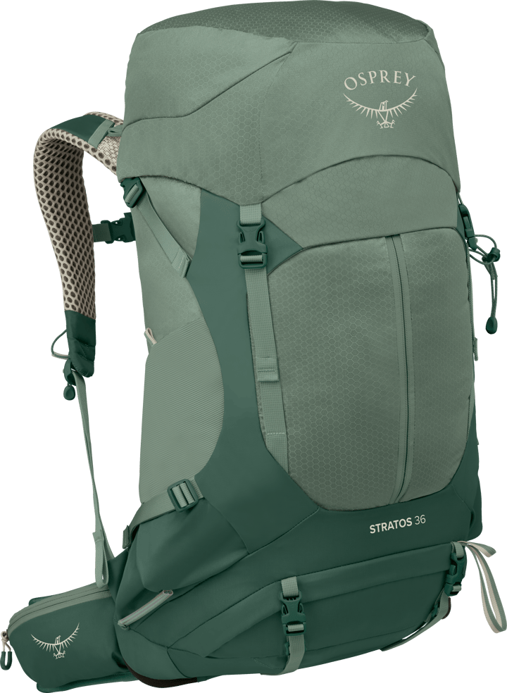 Osprey Men's Stratos 36 Pine Leaf Green Osprey