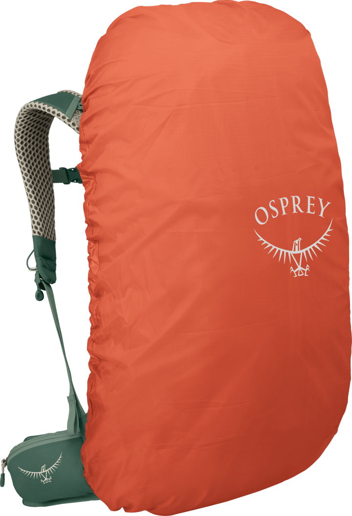 Osprey Men's Stratos 36 Pine Leaf Green Osprey