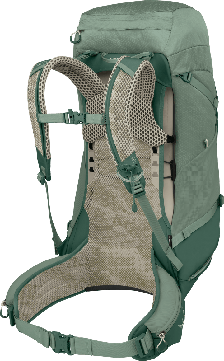 Osprey Men's Stratos 44 Pine Leaf Green Osprey