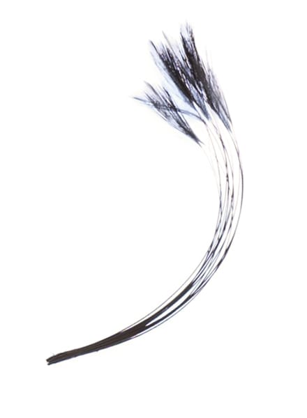 Veniard Stripped Hackle Quills Veniard