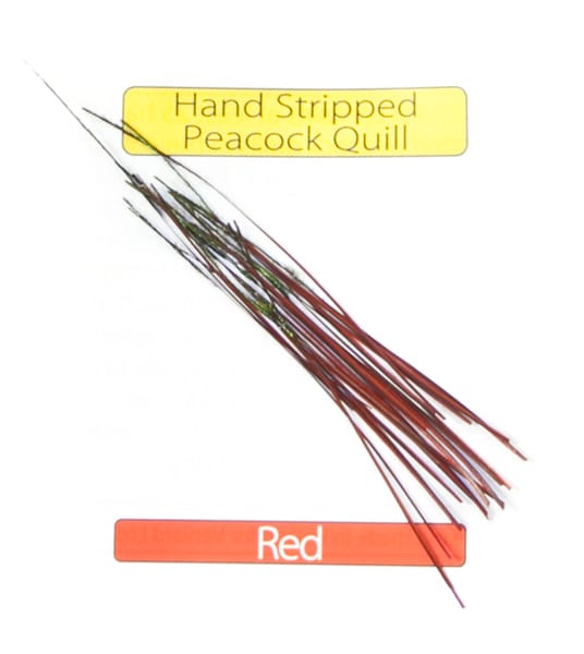 Veniard Stripped Peacock Quills Veniard