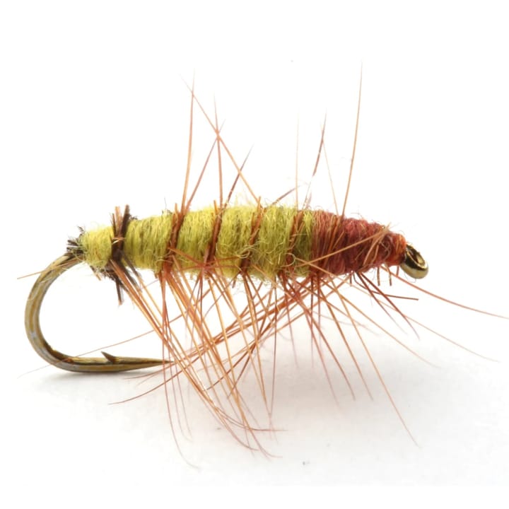Umpqua Flies Superpuppan Olive #12 Olive Umpqua Flies Umpqua Flies Superpuppan Olive #12 Olive Umpqua Flies