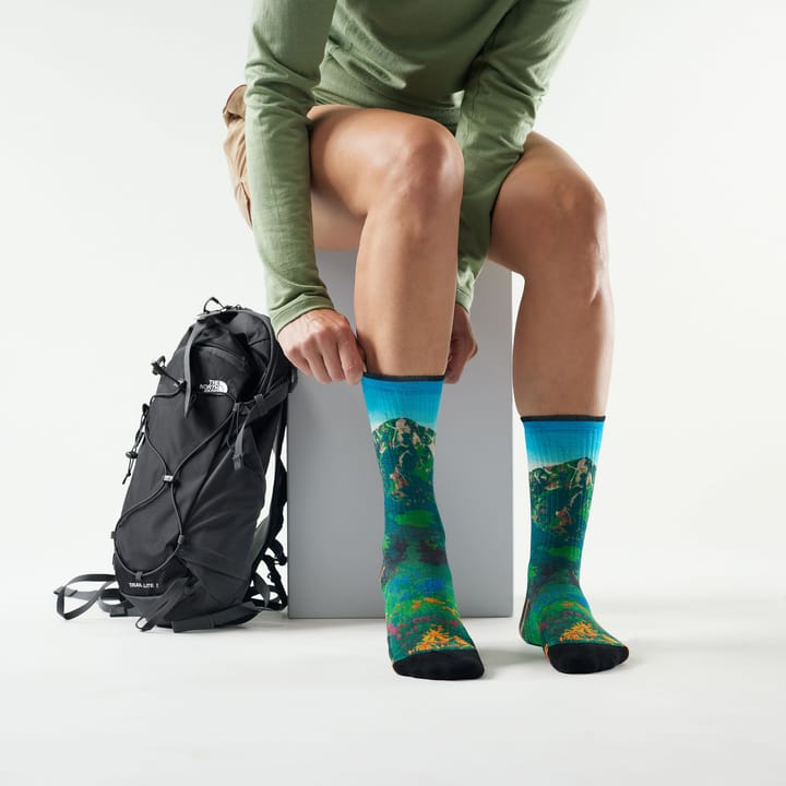 Smartwool Women's Hike Mountain Lake Print Crew Socks Targeted Cushion Capri Smartwool