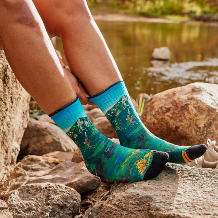 Smartwool Women's Hike Mountain Lake Print Crew Socks Targeted Cushion Capri Smartwool