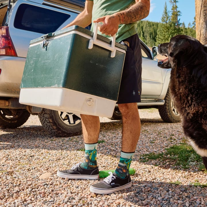 Smartwool Hike Targeted Cushion Trail Trekker Print Crew Socks Winter Moss Smartwool