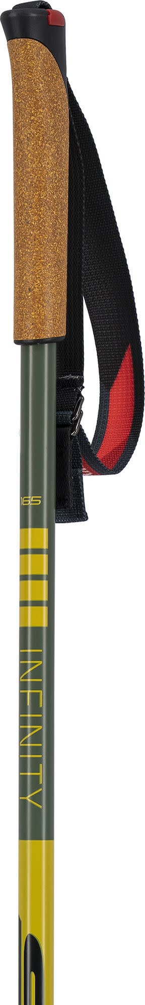 Swix Infinity Sonic Alu Pole Green Swix