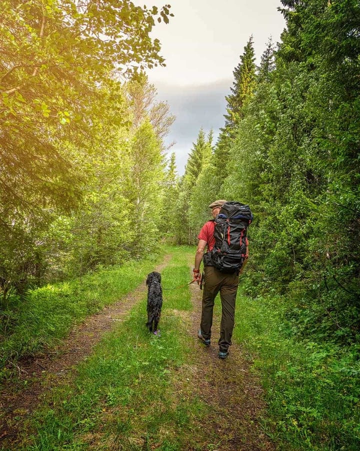 Sydvang Montana Hiking Pack 65L Black Sydvang Sydvang Montana Hiking Pack 65L Black Sydvang