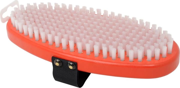 Swix T161O Brush oval, white nylon Swix
