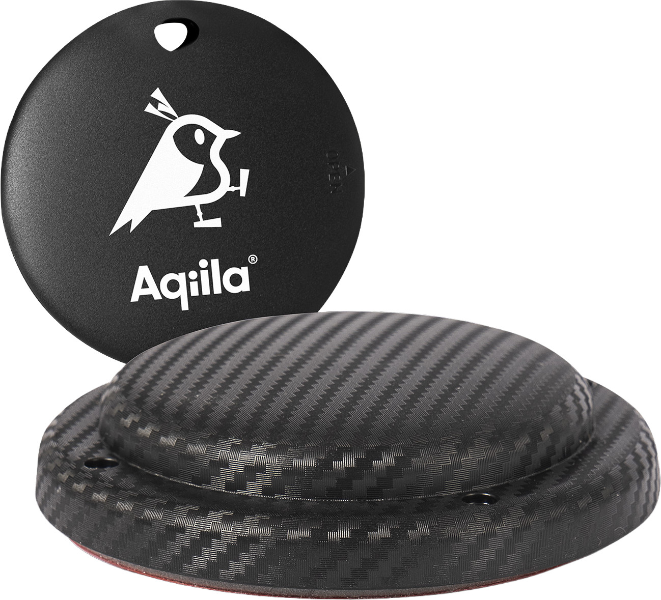 Aqiila Tagbird: Item finder + Mount
