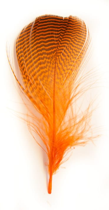 The Fly Co Teal Flankefjær Hot Orange The Fly Co The Fly Co Teal Flankefjær Hot Orange The Fly Co