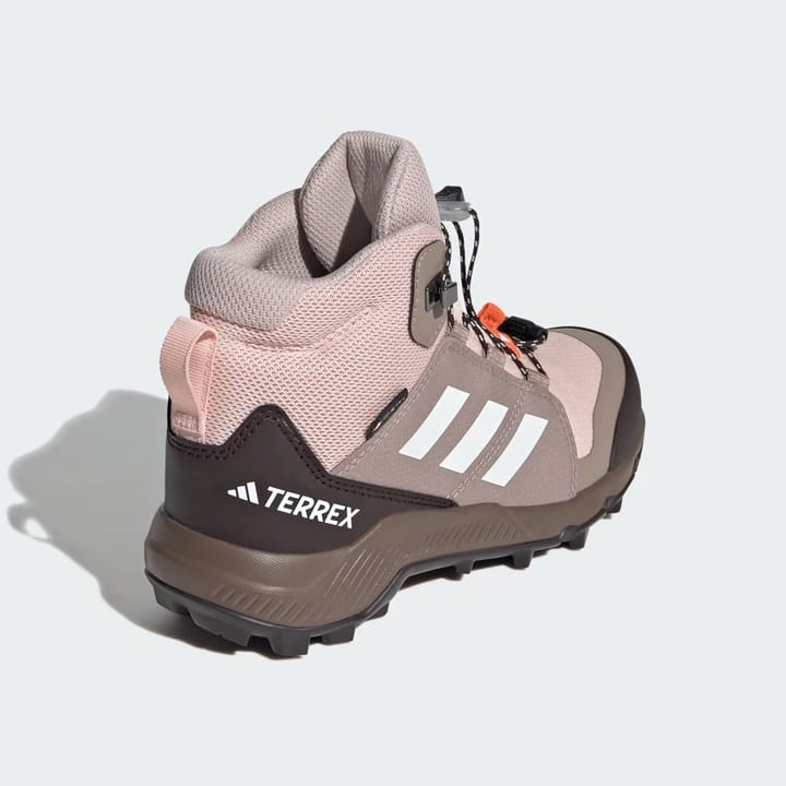 Adidas Terrex Mid Gtx Kids Blupnk/owhite/chabrn Adidas