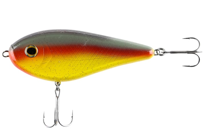 iFish The Guide 12,5cm Parrot iFish