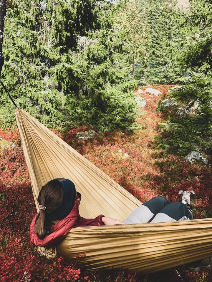 Leaf Double Hammock Mountain Grey Leaf Double Hammock Mountain Grey