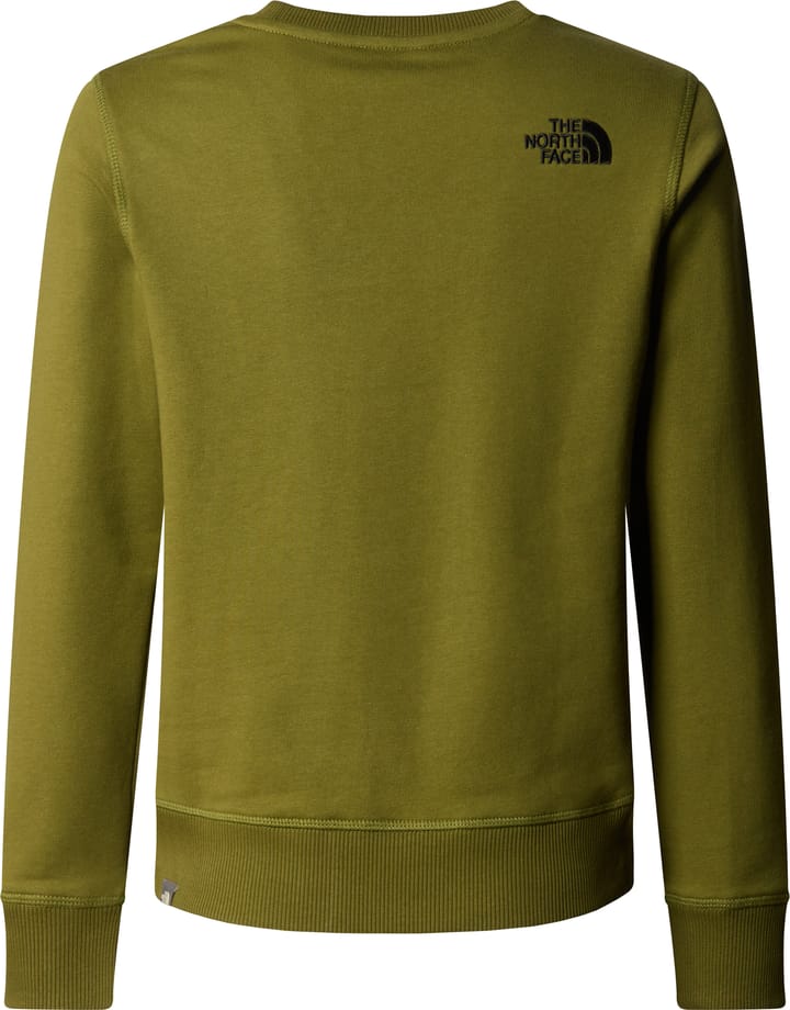 The North Face Boys' Light Drew Peak Sweater Forest Olive The North Face