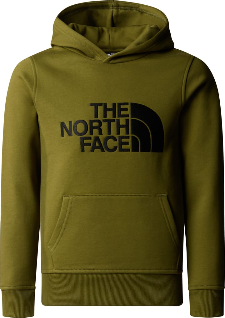 The North Face Boys' Drew Peak Hoodie Forest Olive The North Face