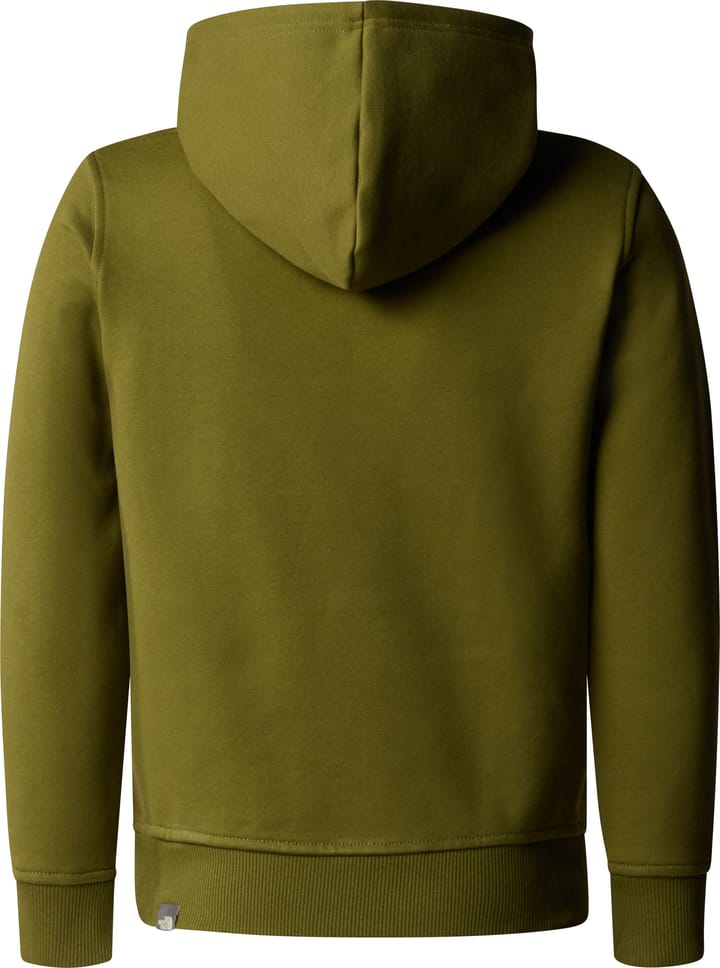 The North Face Boys' Drew Peak Hoodie Forest Olive The North Face