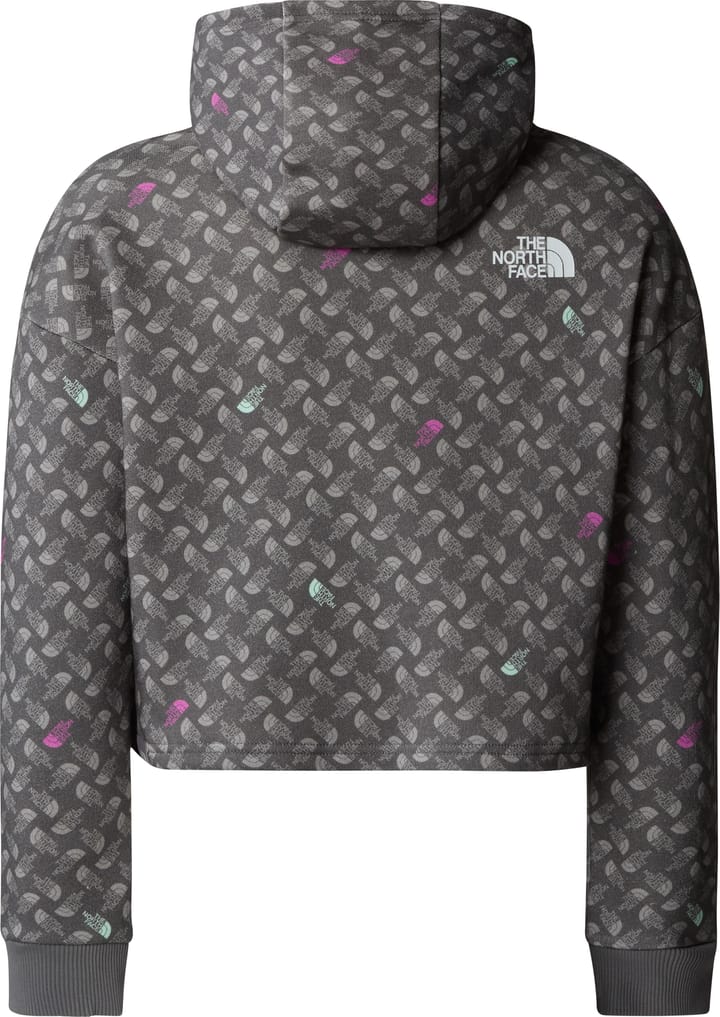 The North Face Girls' Light Drew Peak Printed Hoodie Smoked Pearl TNF Shadow The North Face