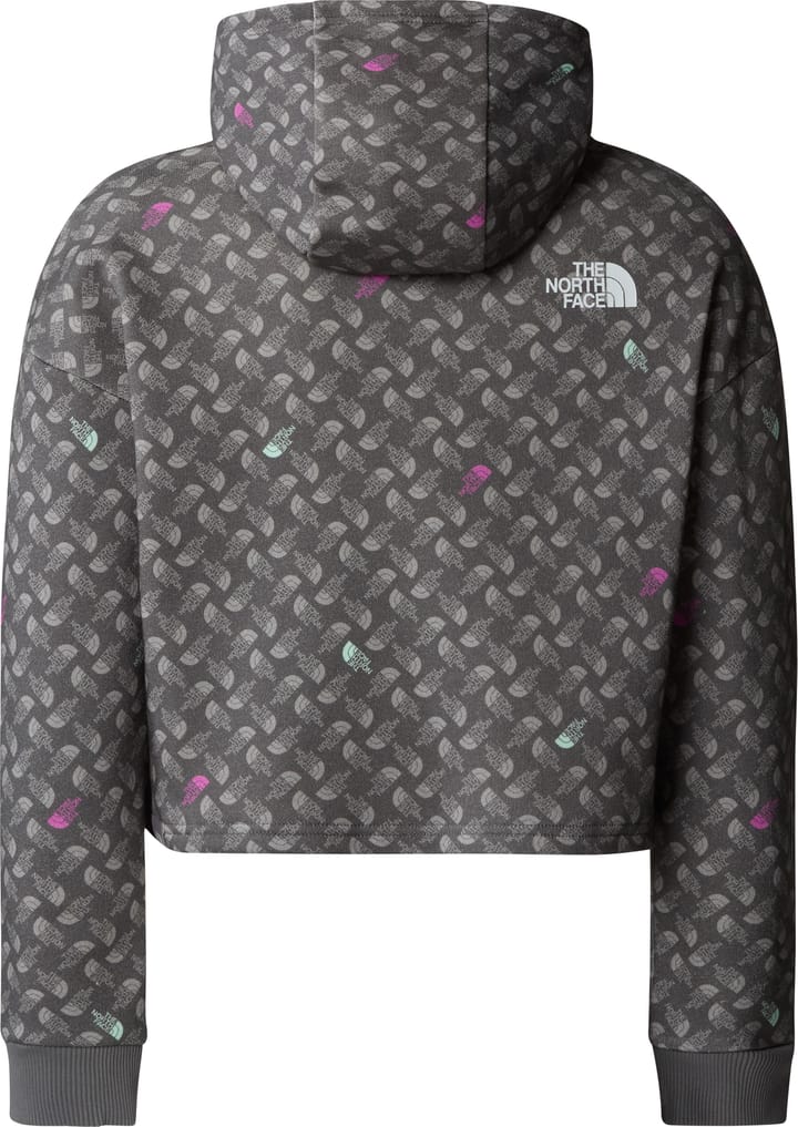 The North Face G Drew Peak Light Hoodie Print Smoked Pearl TNF Shadow The North Face
