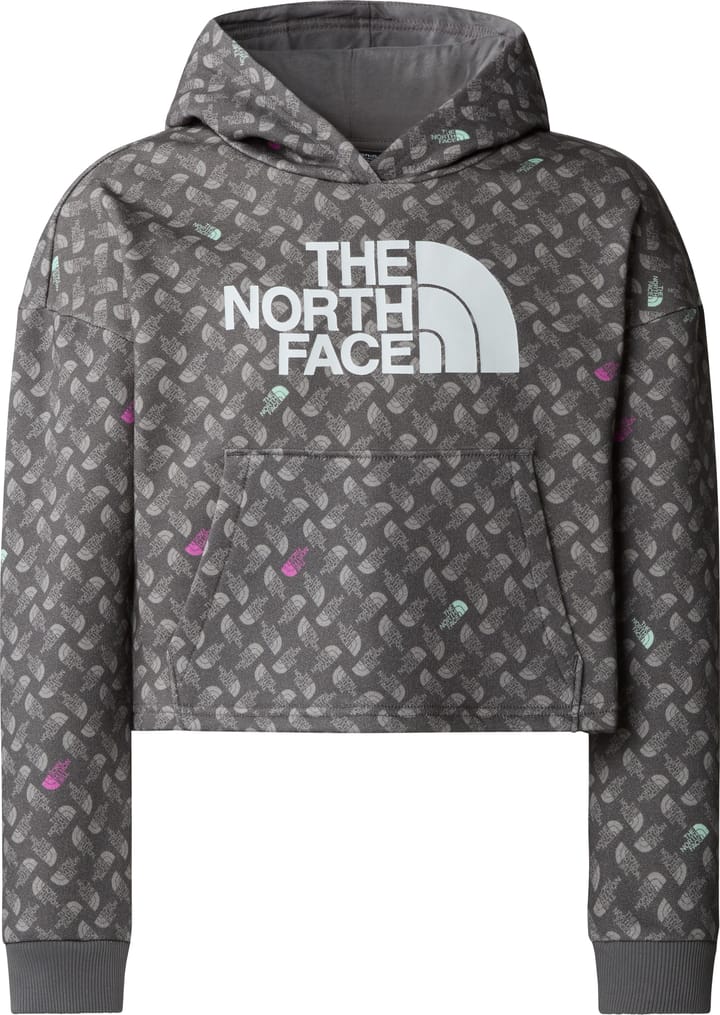 The North Face Girls' Light Drew Peak Printed Hoodie Smoked Pearl TNF Shadow The North Face