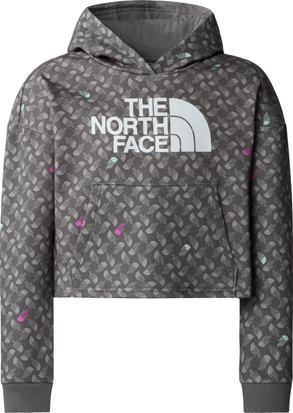 The North Face Girls' Light Drew Peak Printed Hoodie Smoked Pearl TNF Shadow