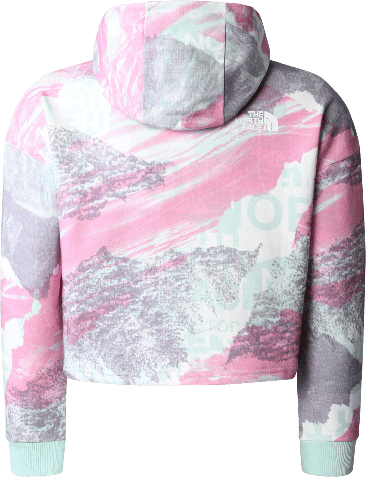 The North Face Girls' Drew Peak Light Hoodie Super Pink Girls Print The North Face