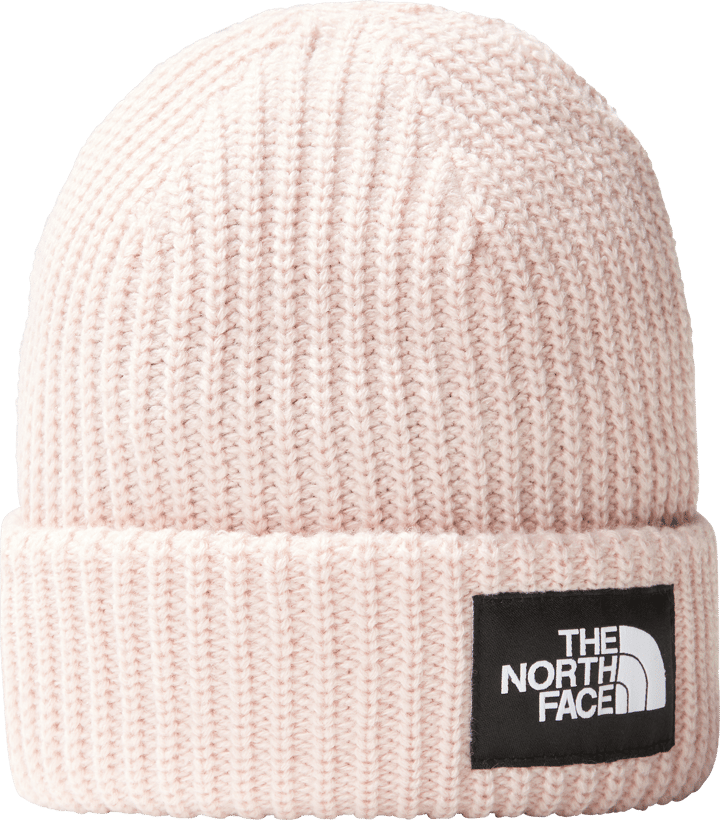 Kids' Salty Dog Beanie PINK MOSS The North Face