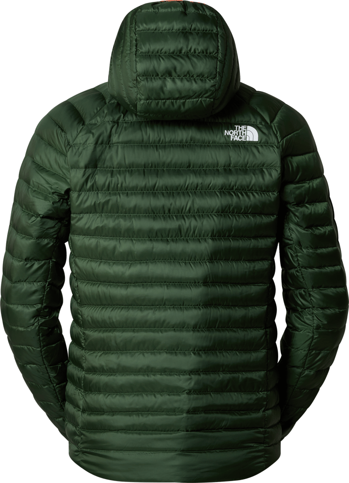 Men's Bettaforca Down Hooded Jacket PINE NEEDLE The North Face