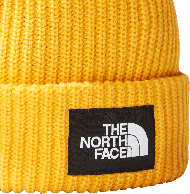 Salty Dog Lined Beanie SUMMIT GOLD The North Face