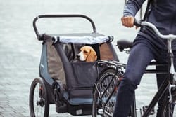 Thule Courier 2 Aegean Blue Thule Thule Courier 2 Aegean Blue Thule