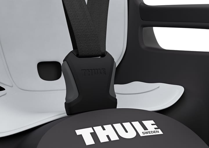 Thule RideAlong 2 Frame Mount Dark Grey Thule