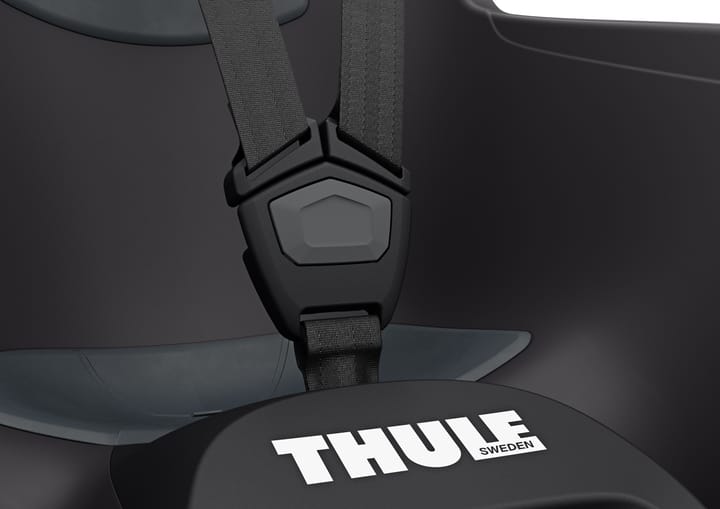 Thule RideAlong Lite 2 Frame Mount Dark Grey Thule