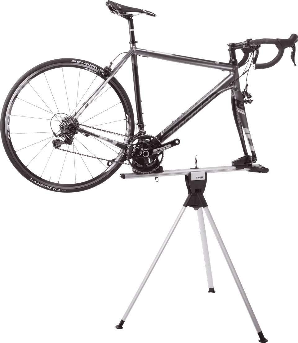 Thule RoundTrip Transition Black Buy Thule RoundTrip Transition