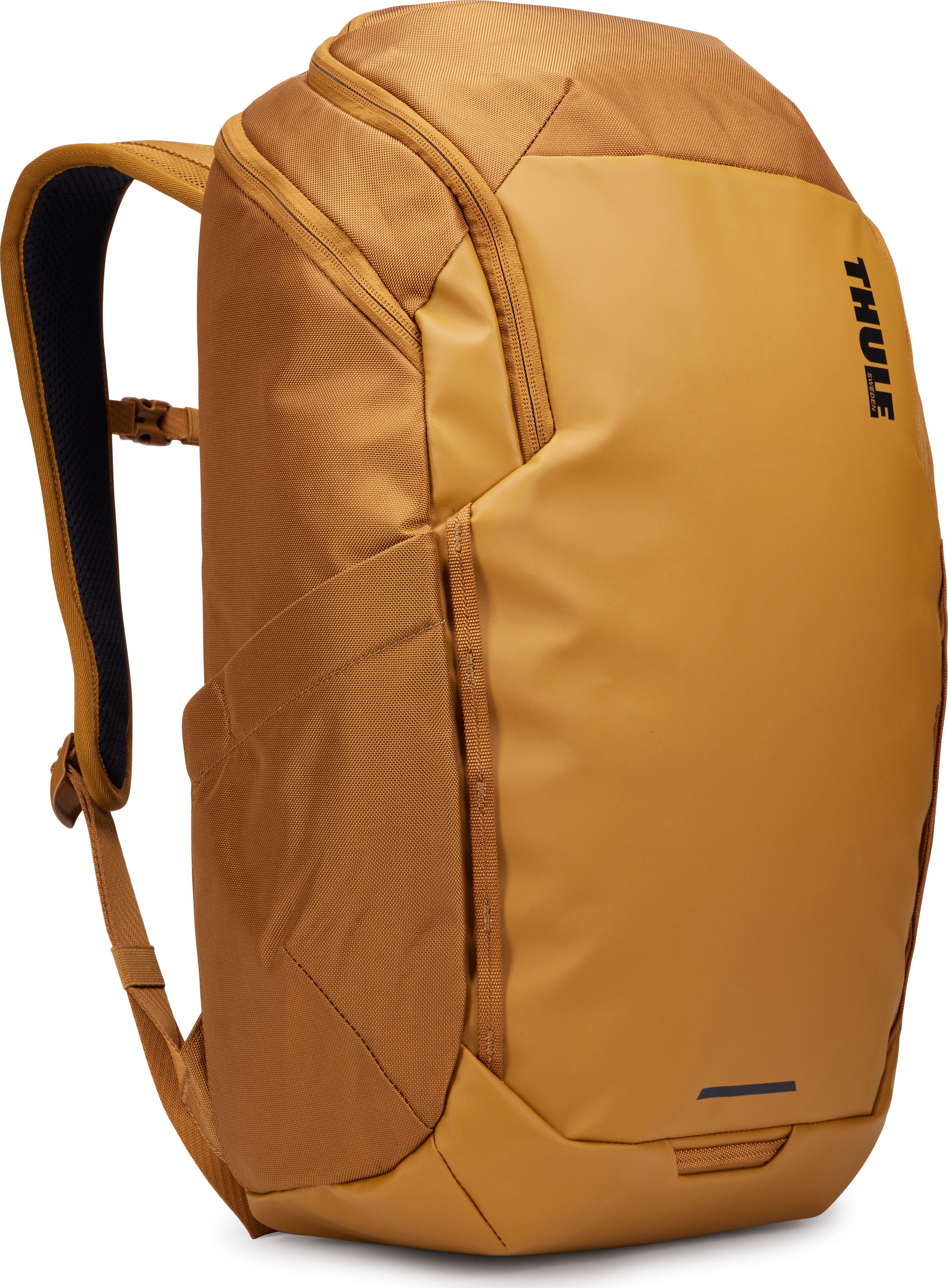 Thule Chasm 26L Golden Arkireput OneSize