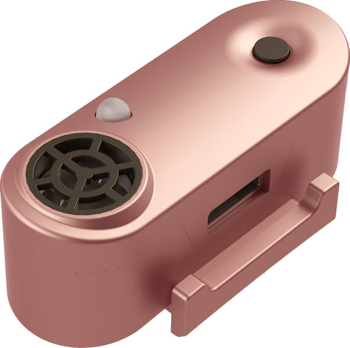 Tickless Mini Dog Rose Gold Tickless