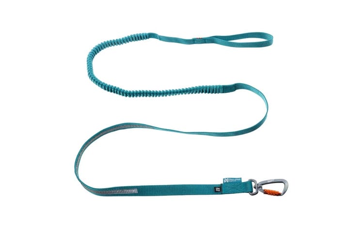 Non-stop Dogwear Touring Bungee Leash Teal Non-stop Dogwear Non-stop Dogwear Touring Bungee Leash Teal Non-stop Dogwear