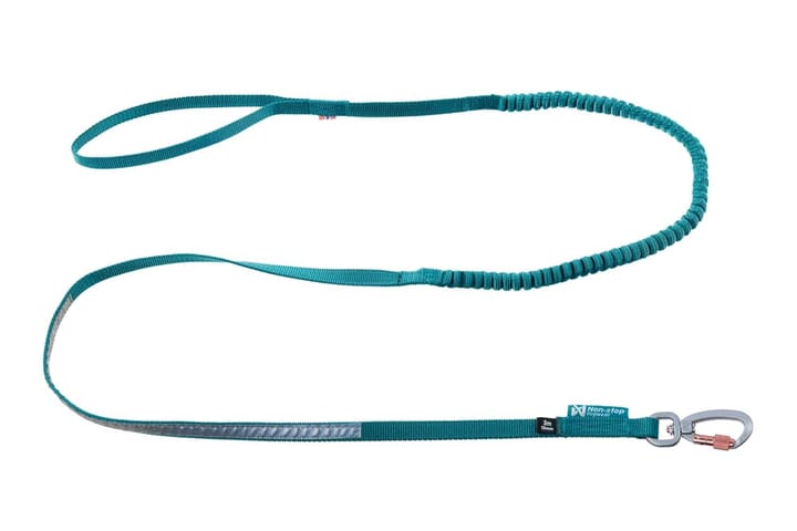 Non-stop Dogwear Touring Bungee Leash Teal Non-stop Dogwear