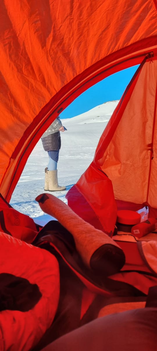 Tova Valenki Rough Natural Brown Tova