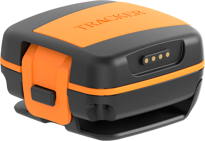 Tracker Tracker Bark Black/Orange Tracker