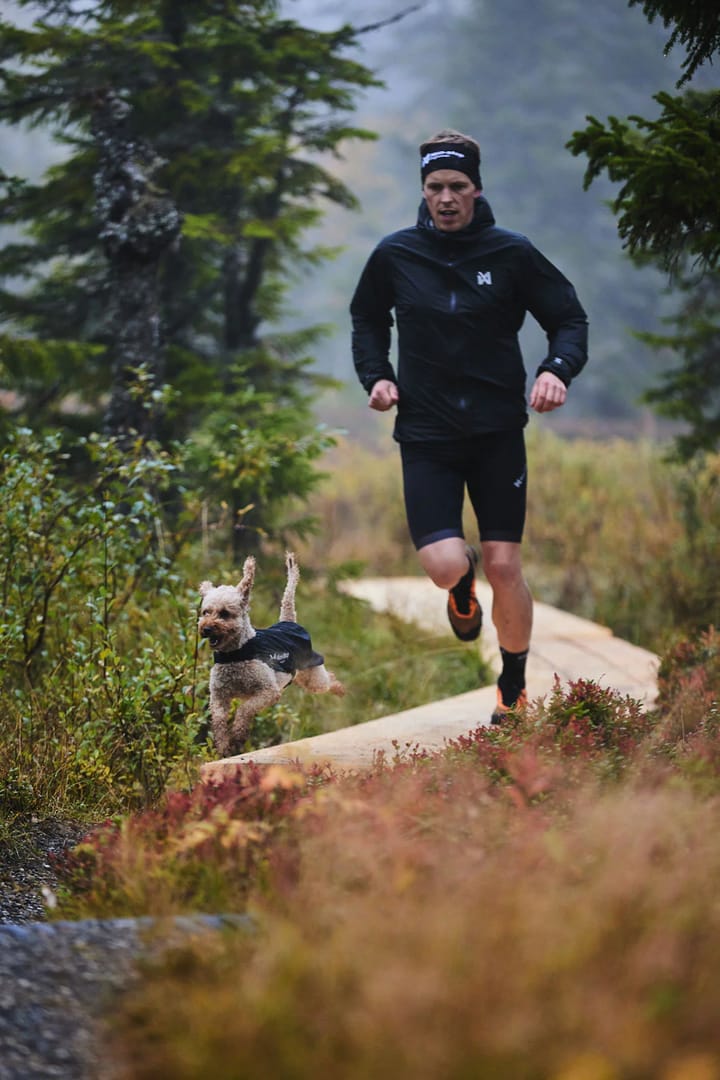 Non-stop Dogwear Trail light dog jacket Grey Non-stop Dogwear