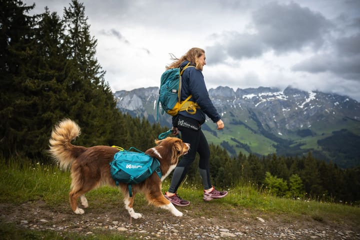 Non-stop Dogwear Trail Quest Dog Backpack Blue Non-stop Dogwear